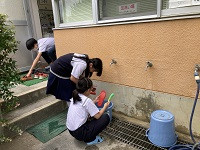 IMG_1896