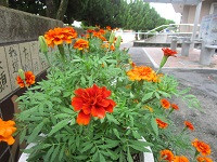 IMG_0580