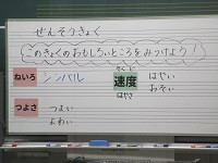 IMG_4911