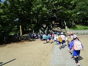 遠足IMG_6492