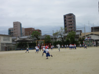 IMG_0784