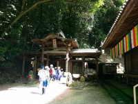 IMGP1050