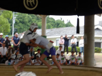 IMGP1437