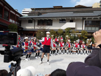 IMGP0505